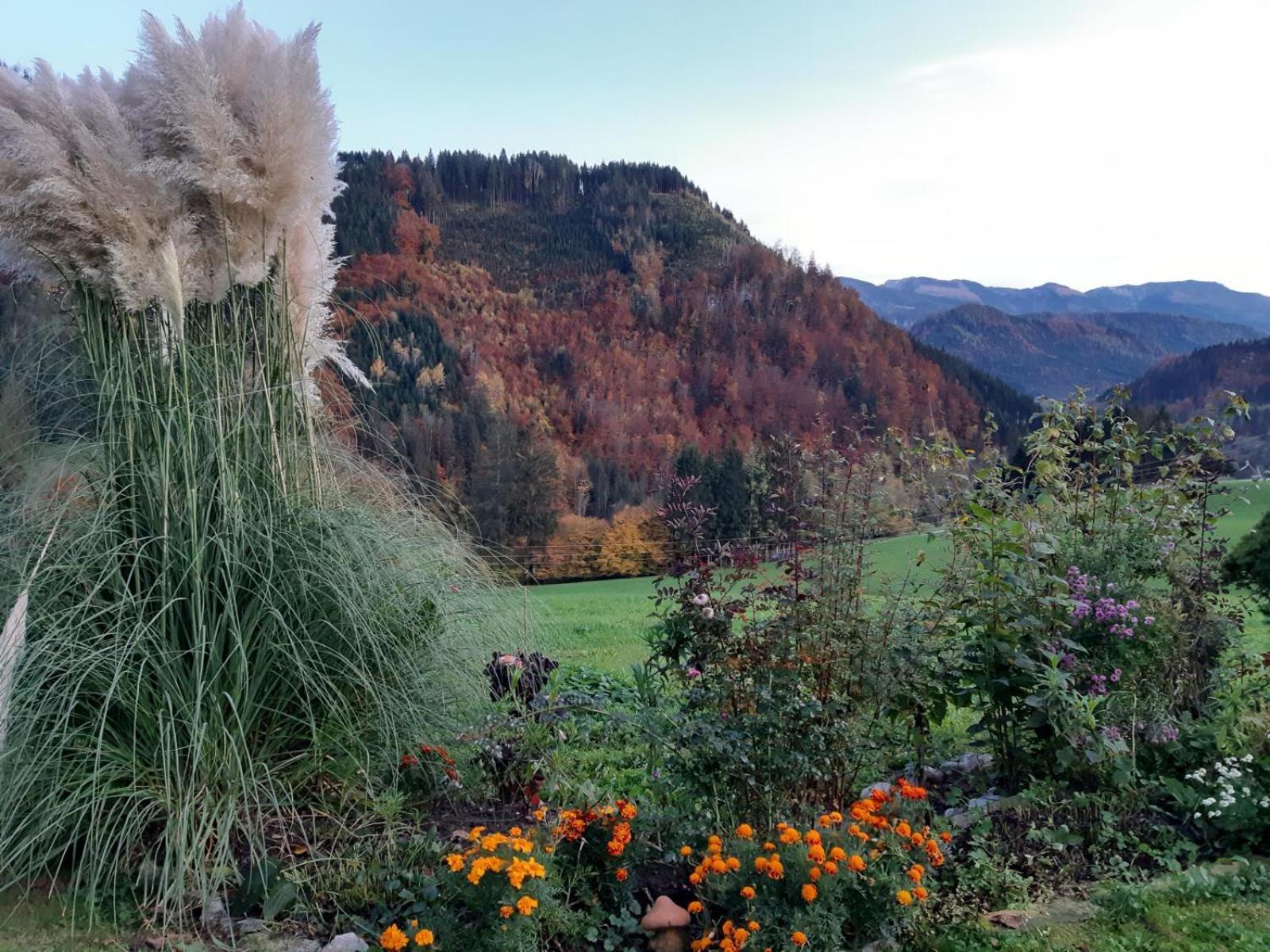 Villa Biobauernhof Poidlbauer Göstling an der Ybbs Esterno foto