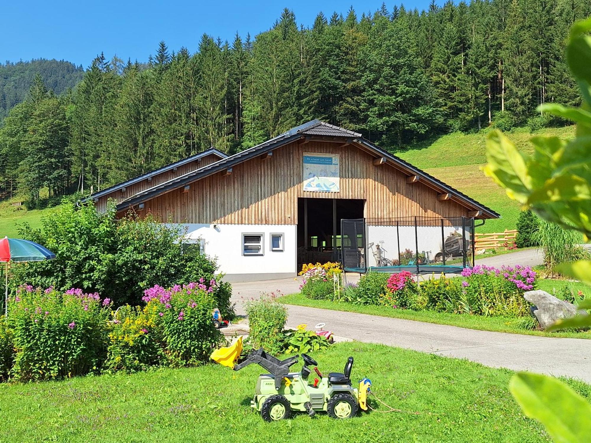 Villa Biobauernhof Poidlbauer Göstling an der Ybbs Esterno foto