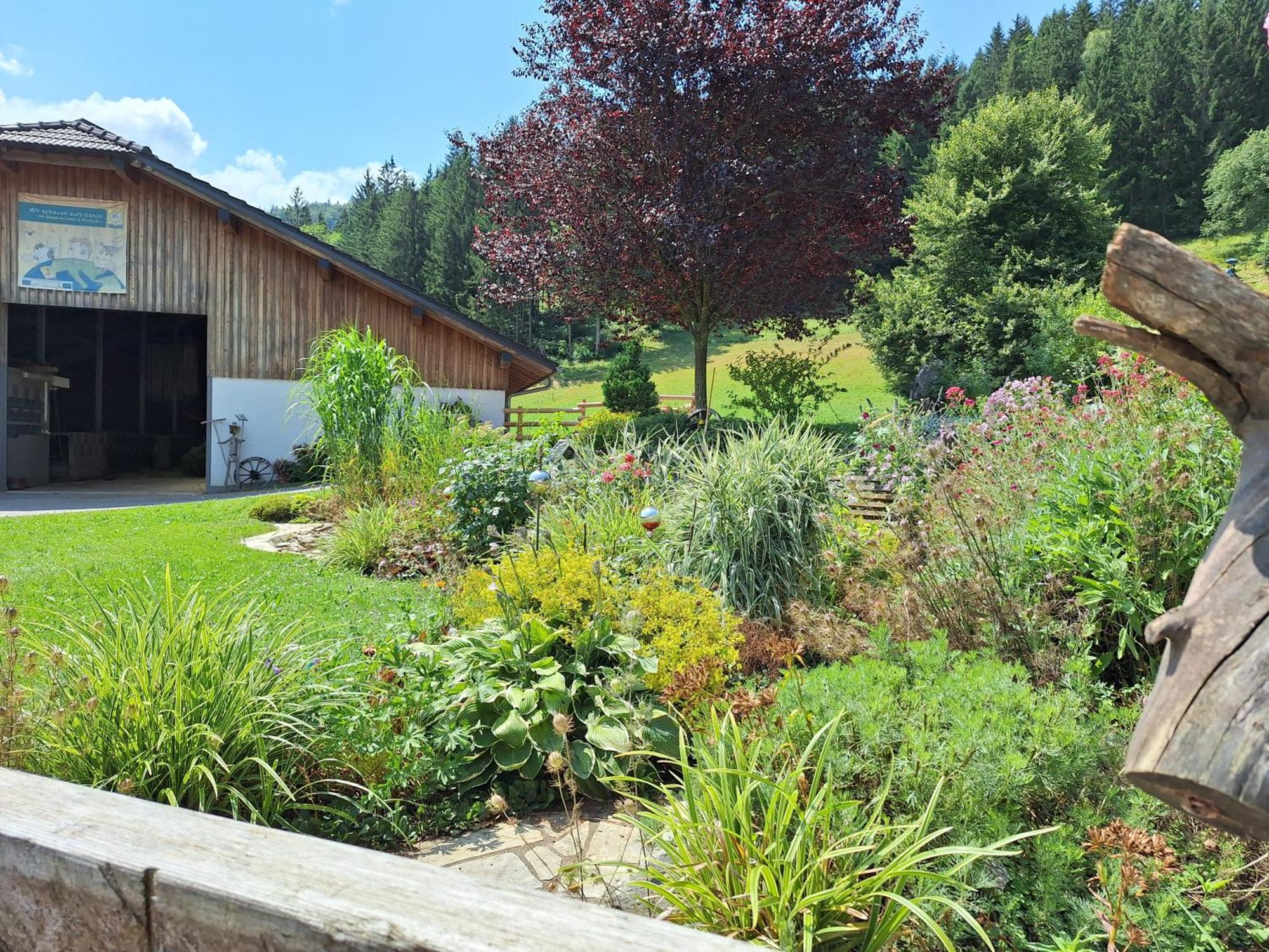 Villa Biobauernhof Poidlbauer Göstling an der Ybbs Esterno foto